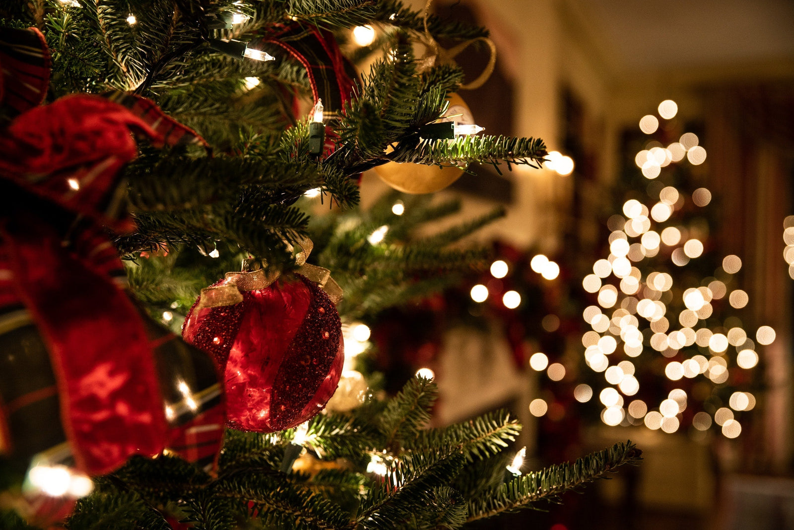 8 Things You Need to Know About LED Christmas Lights - LiquidLEDs™