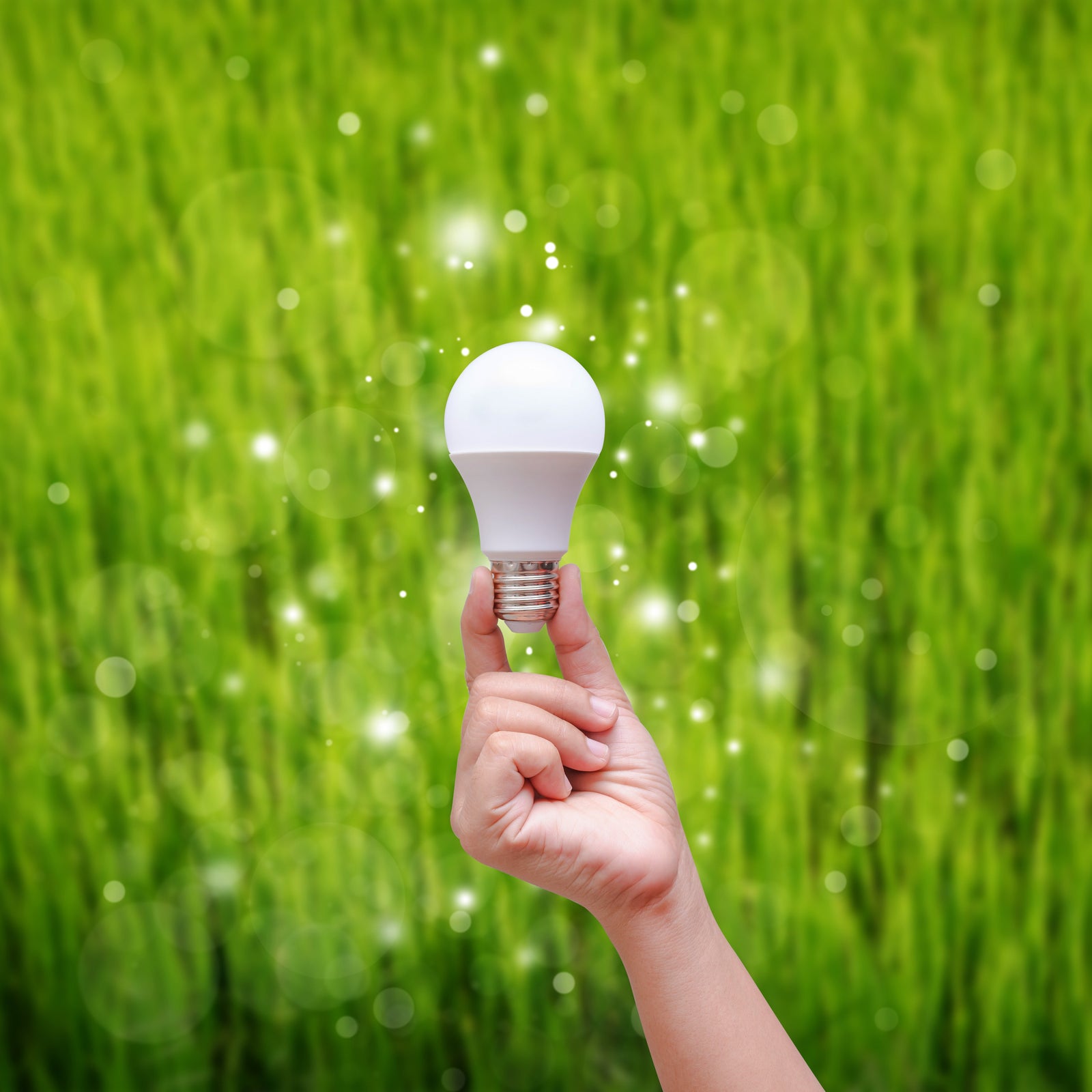 LED Lighting Buyers Guide – What You Should Know - LiquidLEDs™