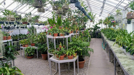 Things you Need for your Indoor Garden - LiquidLEDs™