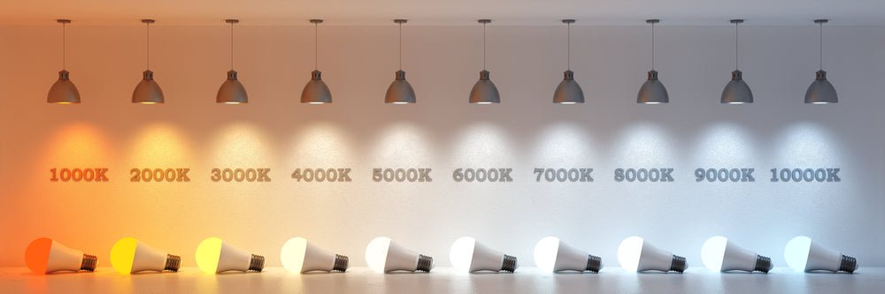 Warm White or Cool White — which one should you choose? - Dulora