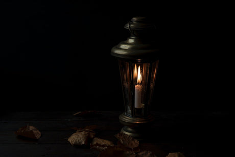 Why You Must Ensure Enough Light In Your Home? - Dulora