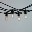 10M LED Festoon Kit at 50 cm Intervals Low Voltage - LiquidLEDs™ - Festoon String
