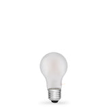6W 12 Volt DC GLS LED Bulb E27 Frost in Warm White - LiquidLEDs™ - Traditional Bulbs