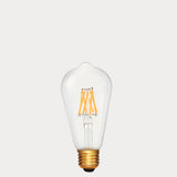 6W 24 Volt DC Edison LED Bulb E27 in Extra Warm