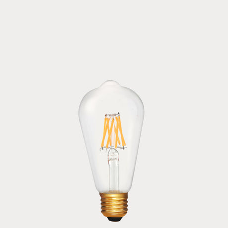 6W 24 Volt DC Edison LED Bulb E27 in Extra Warm