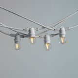 20m White Outdoor Festoon String Lights - LiquidLEDs™ - Festoon String