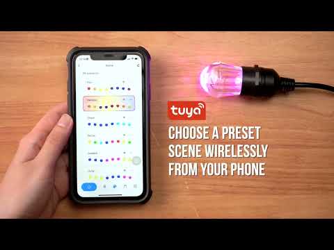 How to setup and control Smart Festoon String